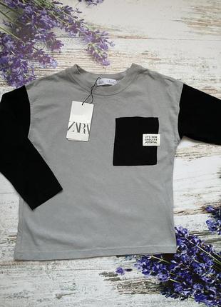 Реглан, кофта, футболка zara(h&m), на 5-6 лет( 116 см)4 фото