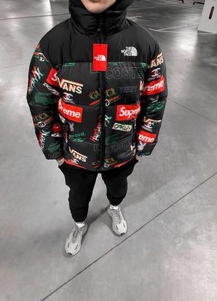 Зимовий пуховик the north face