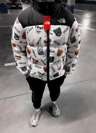 Зимняя куртка the north face