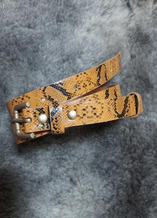 Узкий пояс рептилия лак