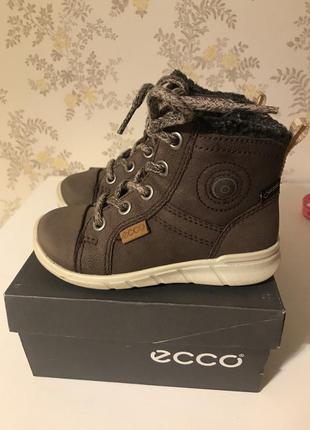 Зимові черевики ecco