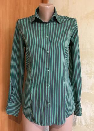 Базова сорочка в смужку,бавовна!