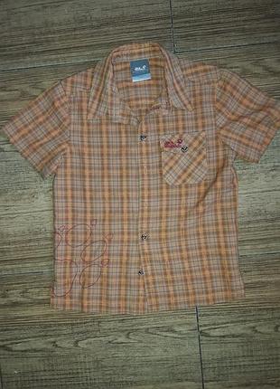 Сорочка в клітку