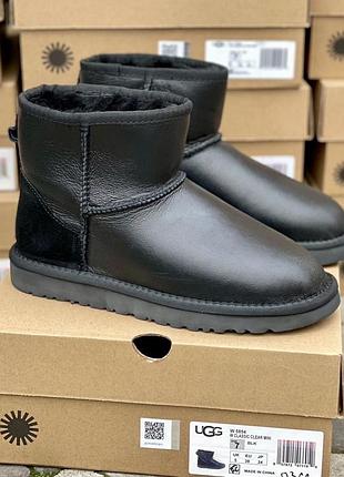 Зимние угги ugg classic mini black leather на овчине