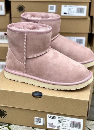 Зимові уггі ugg classic mini pink suede