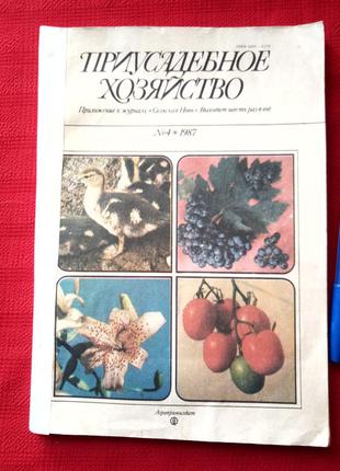 Приусадебное хозяйство. №4 .1987г(сельская новь)