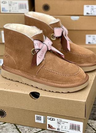 Зимние угги ugg front bow chestnut