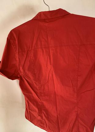 Красная блузка lacoste3 фото