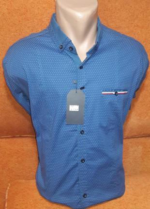 Рубашка мужская g-port vd-0002 синяя приталенная в принт стрейч коттон турция трансформер 3xl2 фото