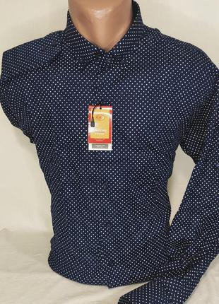 Рубашка мужская приталенная синяя в принт стрейч коттон турция трансформер klassoy vd-0007 xxl9 фото
