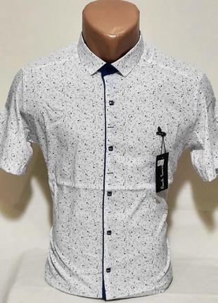 Рубашка мужская с коротким рукавом vk-0082  paul smith белая в узор приталенная стрейч коттон турция1 фото