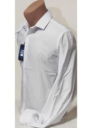 Рубашка мужская с длинным рукавом noseda vd-0010 белая приталенная однотонная турция стрейч коттон6 фото