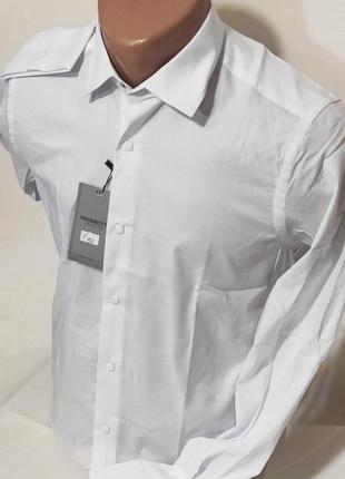 Рубашка мужская с длинным рукавом pavarotti vd-0001 белая приталенная однотонная турция стрейч коттон2 фото