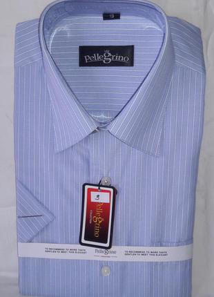 Рубашка мужская с коротким рукавом vk-0003 pellegrino голубая в полоску классическая