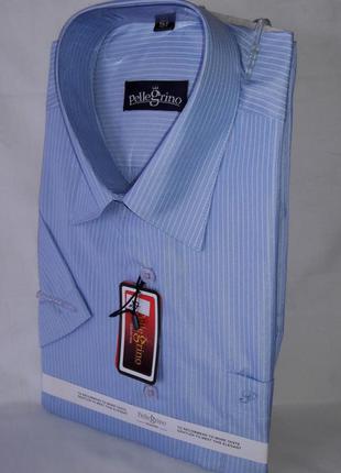 Рубашка мужская с коротким рукавом vk-0027 pellegrino голубая в полоску классическая, тенниска мужска2 фото
