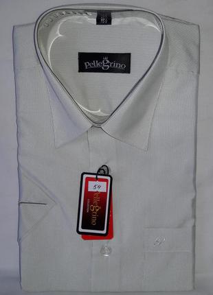 Рубашка мужская с коротким рукавом vk-0054 pellegrino бежевая в полоску классическая