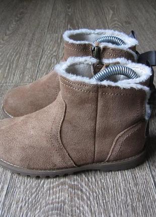 Сапоги. Jeans ugg.