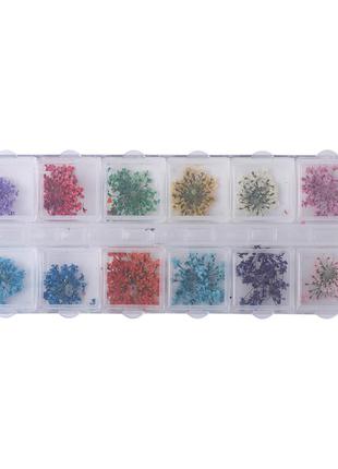Инструмент для эпоксидной смолы, пластиковый органайзер с сухими цветами,13 см x 5.3 см1 фото