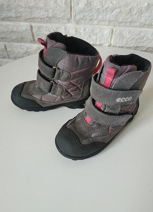 Сапожки ecco 3