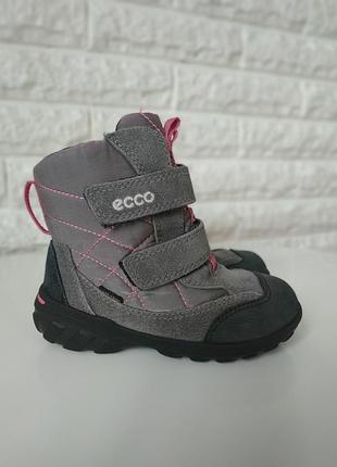 Сапожки ecco
