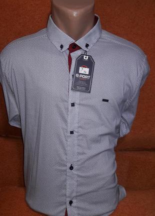 Рубашка мужская paul smith vd-0003 белая приталенная с принтом рукав длинный трансформер стрейч коттон xl2 фото
