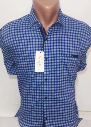 Рубашка мужская pierini vd-0006 голубая в клетку приталенная турция с длинным рукавом, стильная, молодежная1 фото
