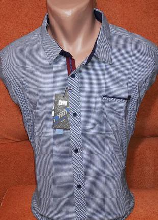 Батальная рубашка мужская mir taron vd-0008 голубая турция с длинным рукавом, стильная2 фото
