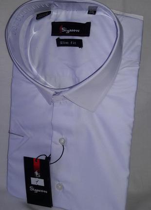 Рубашка мужская vk-0001 sig men приталенная однотонная белая с коротким рукавом2 фото