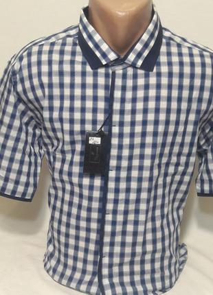 Рубашка мужская vk-0024 sig men синяя в клетку приталенная  комбинированная с коротким рукавом