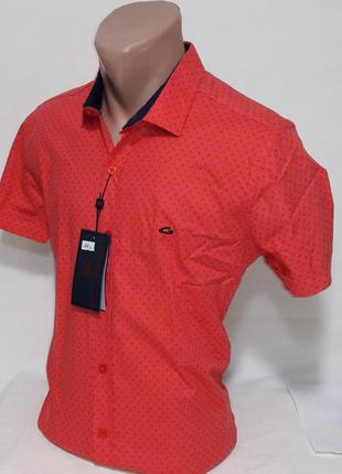 Рубашка мужская с коротким рукавом vk-0088 gavi galdo коралловая приталенная в принт турция m