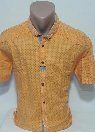 Рубашка мужская с коротким рукавом vk-190 vip stendo жёлтая приталенная стрейч-коттон турция