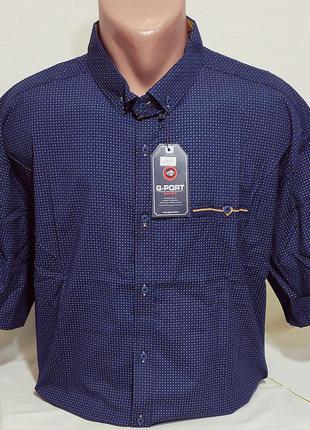 Рубашка мужская с коротким рукавом супер-батальная g-port vk-0100 синяя в принт стрейч коттон турция4 фото