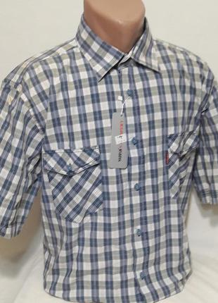 Рубашка мужская legrands vk-0020 синяя в клетку классическая хлопок с коротким рукавом
