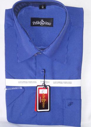 Рубашка мужская с коротким рукавом vk-0005 pellegrino синяя в полоску классическая