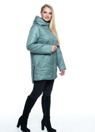 Жіноча демісезонна куртка, розміри 54 - 702 фото