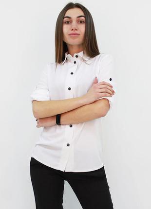 Классическая женская блузка "ivory", размеры 42 - 482 фото