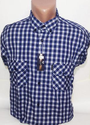 Рубашка мужская ramteks vd-0050 синяя в клетку классическая хлопок с длинным рукавом xl