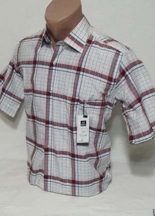 Рубашка мужская с коротким рукавом vk-0001 mikpas классическая в клетку