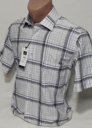 Рубашка мужская с коротким рукавом vk-0004 mikpas классическая в клетку s