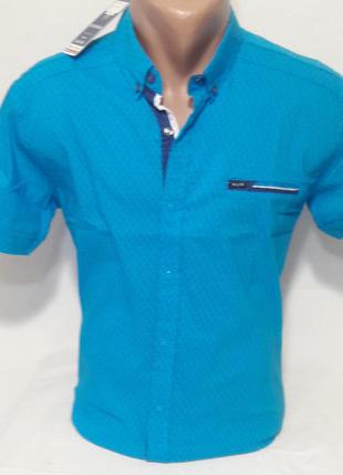 Рубашка мужская с коротким рукавом vk-199-1 vip stendo голубая приталенная стрейч-коттон турция
