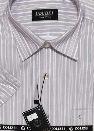 Рубашка мужская colizei vk-0007 меланж в полоску классическая с коротким рукавом1 фото