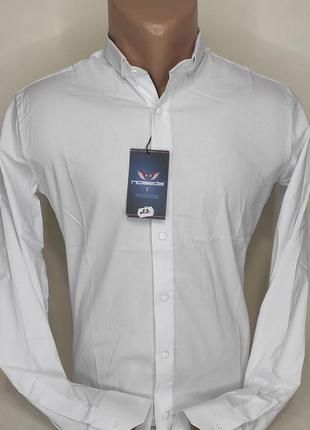 Мужская рубашка noseda vds-0023 белая приталенная воротник стойка турция с длинным рукавом стильная нарядная