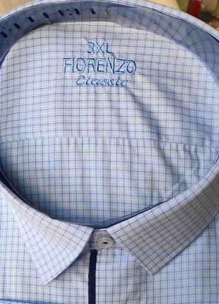 Рубашка мужская батальная классическая в клетку fiorenzo vd-0100 голубая с длинным рукавом турция4 фото