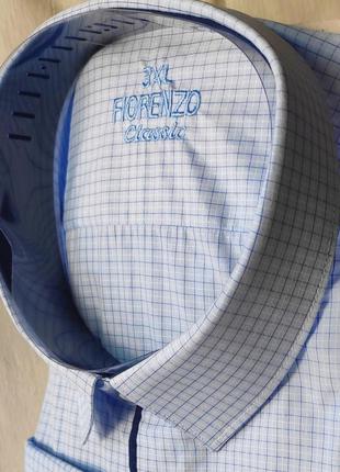 Рубашка мужская батальная классическая в клетку fiorenzo vd-0100 голубая с длинным рукавом турция3 фото