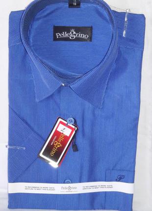Рубашка мужская с коротким рукавом vk-0002 pellegrino синяя в полоску классическая