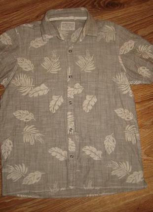 Next сорочка некст на 10 років, 100% коттон