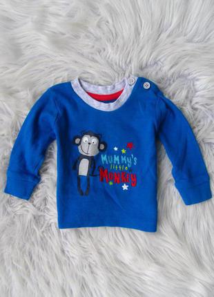 Кофта світшот лонгслив primark