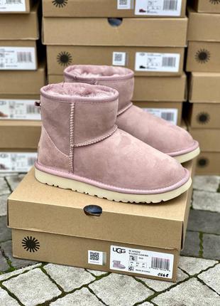Уги classic mini pink suede угги