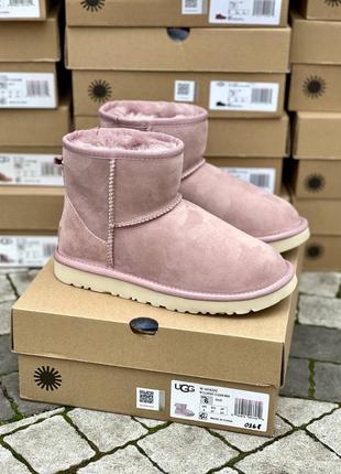 Угі classic mini pink ugg suede