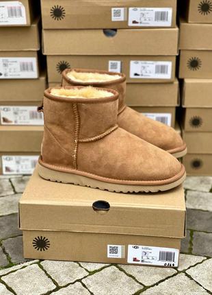 Уги classic mini chestnut suede угги
